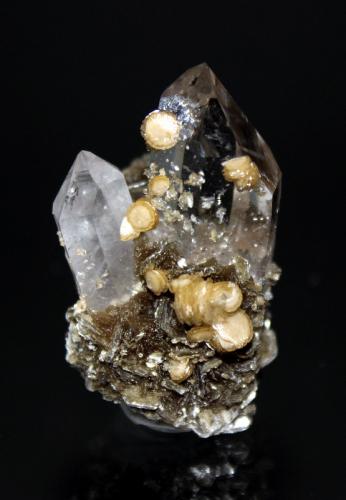 Quartz, Siderite<br />Minas da Panasqueira, Aldeia de São Francisco de Assis, Covilhã, Castelo Branco, Cova da Beira, Centro, Portugal<br />5.2 x 4.2 cm<br /> (Author: Don Lum)