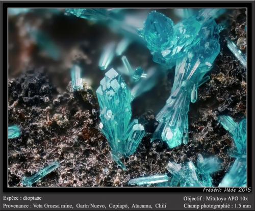 Dioptase<br />Veta Gruesa Mine, Garín Nuevo District, Copiapó Province, Atacama Region, Chile<br />fov 1.5 mm<br /> (Author: ploum)