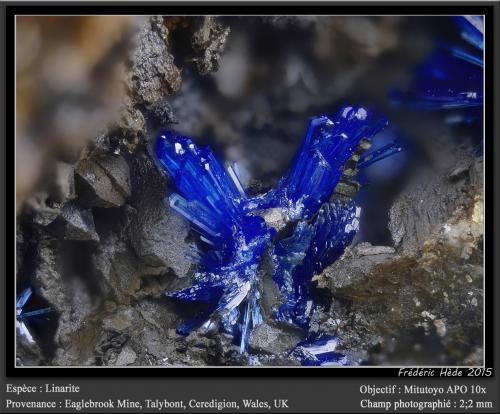 Linarite<br />Eaglebrook Mine, Nant-y-Moch Reservoir area, Talybont, Ceulanymaesmawr, Ceredigion, Wales / United Kingdom<br />fov 2.2 mm<br /> (Author: ploum)