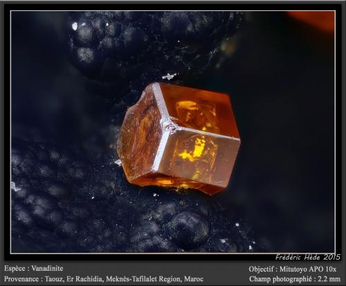 Vanadinite<br />Taouz, Provincia Er Rachidia, Región Drâa-Tafilalet, Marruecos<br />fov 2.2 mm<br /> (Author: ploum)