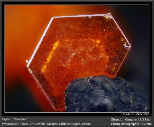 Vanadinite<br />Taouz, Provincia Er Rachidia, Región Drâa-Tafilalet, Marruecos<br />fov 2.2 mm<br /> (Author: ploum)