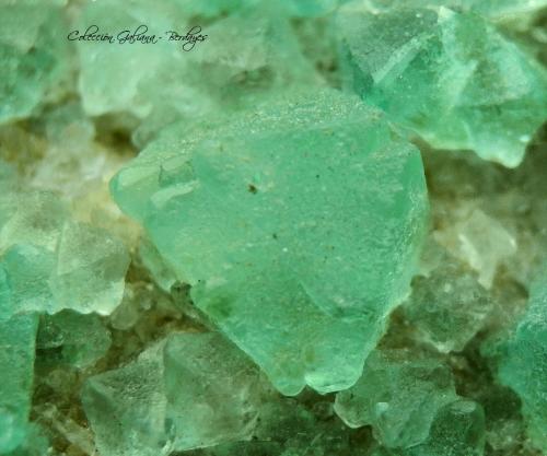 Fluorita<br />Pedrera Berta, Turó de Can Domènech, Serra de Roques Blanques, Sant Cugat del Vallès-El Papiol, Comarca Vallès Occidental / Baix Llobregat, Barcelona, Cataluña / Catalunya, España<br />Encuadre 12 x 12 mm<br /> (Autor: Rafael Galiana)