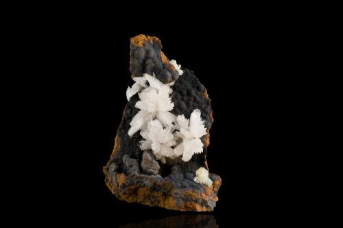 Hemimorphite on Goethite and limonite<br />Ojuela Mine, Mapimí, Municipio Mapimí, Durango, Mexico<br />7,0	x	7,0	x	9,0	cm<br /> (Author: MIM Museum)