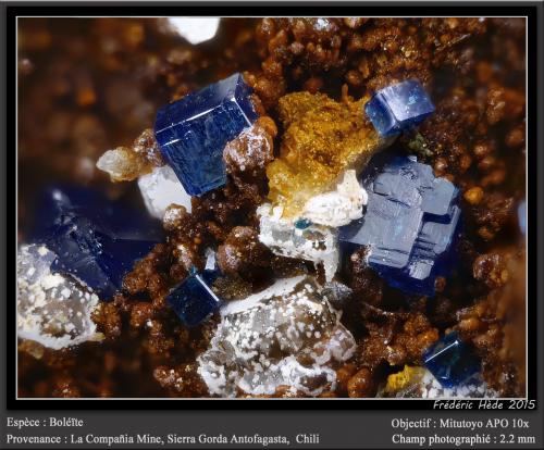 Boleïte<br />La Compañía Mine, Caracoles, Sierra Gorda District, Tocopilla Province, Antofagasta Region, Chile<br />fov 2.2 mm<br /> (Author: ploum)