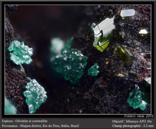 Olivenite and Cornwallite<br />Ibiajara District, Rio do Pires, Bahia, Northeast Region, Brazil<br />fov 2.2 mm<br /> (Author: ploum)