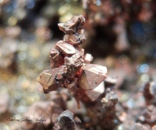 Cobre<br />Boinás Este, Plataforma 380, Boinás, Belmonte de Miranda, Comarca Oviedo, Principado de Asturias (Asturias), España<br />Encuadre 6 x 6 mm.<br /> (Autor: Rafael Galiana)