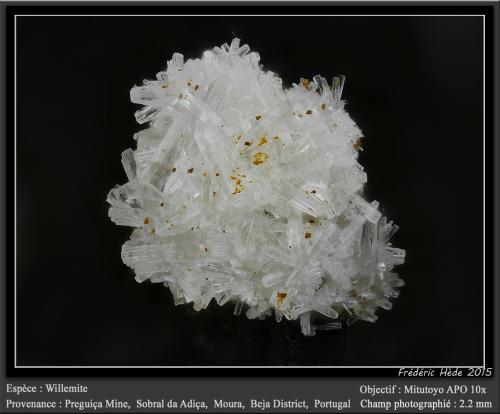 Willemite<br />Preguiça Mine, Sobral da Adiça, Moura, Beja District, Baixo Alentejo, Alentejo, Portugal<br />fov 2.2 mm<br /> (Author: ploum)