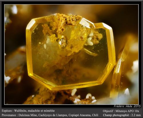 Wulfenite<br />Mina Dulcinea de Llampos, Cachiyuyo de Llampos, Provincia Copiapó, Región Atacama, Chile<br />fov 2.2 mm<br /> (Author: ploum)