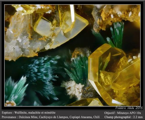 Wulfenite, Mimetite and Malachite<br />Mina Dulcinea de Llampos, Cachiyuyo de Llampos, Provincia Copiapó, Región Atacama, Chile<br />fov 2.2 mm<br /> (Author: ploum)
