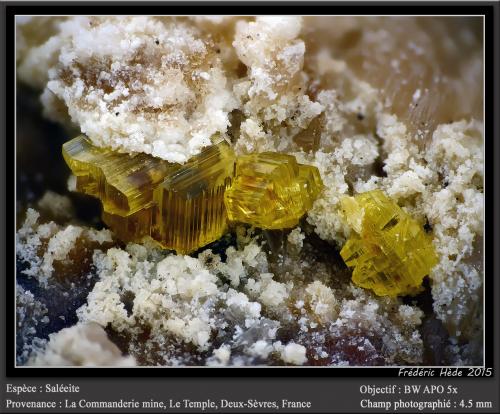 Saléeite<br />La Commanderie Mine, Le Temple, Deux-Sèvres, Nouvelle-Aquitaine, France<br />fov 4.5 mm<br /> (Author: ploum)