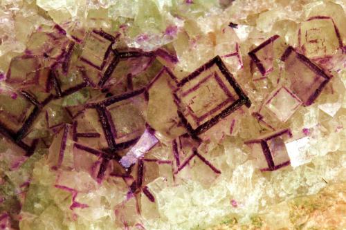 Fluorite<br />Cäcilia Mine, Freiung, Stulln, Wölsendorf West District, Upper Palatinate/Oberpfalz, Bavaria/Bayern, Germany<br />FOV 40 mm<br /> (Author: Gerhard Brandstetter)