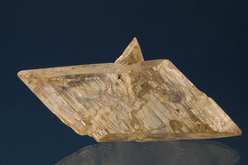 Gypsum<br />Holheim Quarry, Holheim, Nördlingen, Donau-Ries, Schwaben, Bavaria/Bayern, Germany<br />65 mm<br /> (Author: Gerhard Brandstetter)