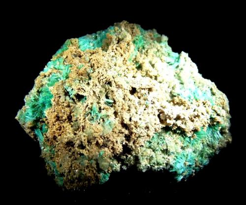Auricalcita.<br />Globe, Distrito Globe-Miami, Condado Gila, Arizona, USA<br />60x60 mm.<br /> (Autor: Jesus Franquesa Baucells)