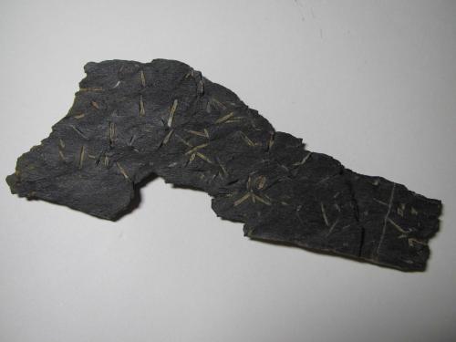 Pizarra con quiastolita<br />Phyllite outcrops, Münchberg Metamorphic complex, Gefrees, Bayreuth, Oberfranken, Bavaria/Bayern, Germany<br />11 x 4''5 cm.<br /> (Autor: prcantos)