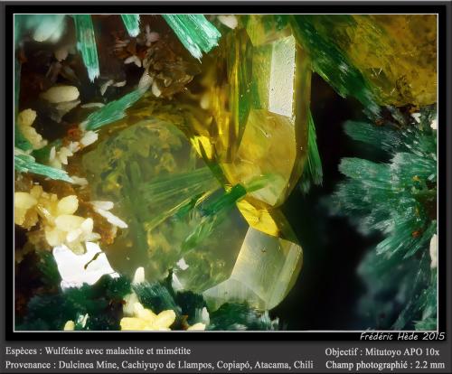 Malachite, Wulfenite and Mimetite<br />Dulcinea de Llampos Mine, Cachiyuyo de Llampos, Copiapó Province, Atacama Region, Chile<br />fov 2.2 mm<br /> (Author: ploum)