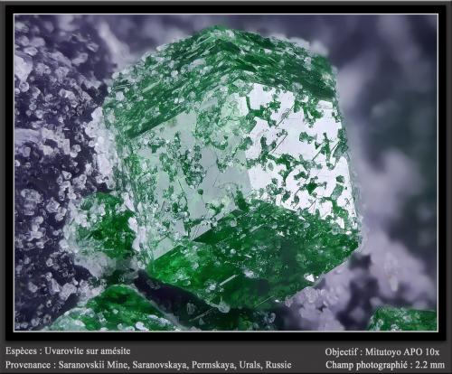 Uvarovite on Amesite<br />Saranovskii Mine, Saranovskaya (Sarany), Gornozavodskii, Perm Krai, Ural, Russia<br />fov 2.2 mm<br /> (Author: ploum)