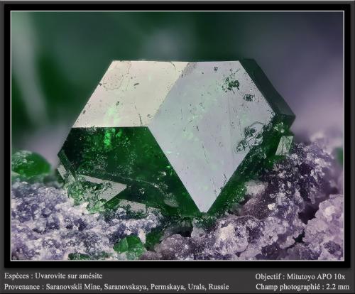 Uvarovite on Amesite<br />Mina Saranovskii, Saranovskaya (Sarany), Gornozavodskii, Perm Krai, Ural, Rusia<br />fov 2.2 mm<br /> (Author: ploum)