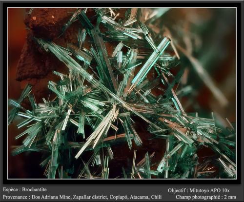 Brochantite<br />Mina Dos Adriana, Distrito Zapallar, Provincia Copiapó, Región Atacama, Chile<br />fov 2 mm<br /> (Author: ploum)