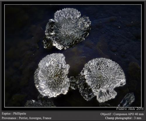 Phillipsite<br />Roca-Neyra, Perrier, Issoire District, Puy-de-Dôme Department, Auvergne-Rhône-Alpes, France<br />fov 3 mm<br /> (Author: ploum)