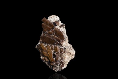 Buergerite<br />San Luis Potosí, Mexico<br />5,0	x	3,0	x	2,0	cm<br /> (Author: MIM Museum)