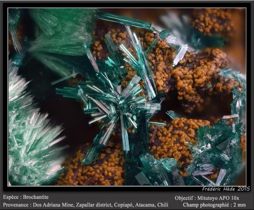 Brochantite<br />Dos Adriana Mine, Zapallar District, Copiapó Province, Atacama Region, Chile<br />fov 2 mm<br /> (Author: ploum)