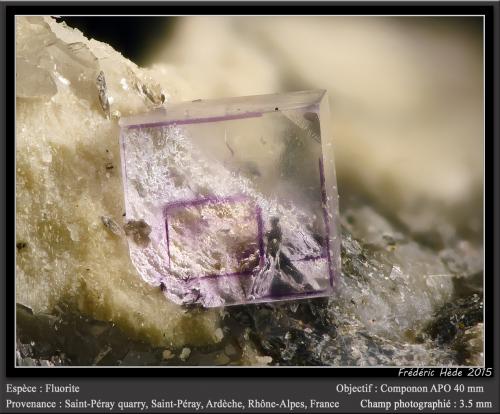 Fluorite<br />Cantera Saint-Péray (Vergomas quarry), Saint-Péray, Tournon-sur-Rhône, Ardèche, Auvergne-Rhône-Alpes, Francia<br />fov 3.5 mm<br /> (Author: ploum)