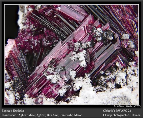 Erythrite<br />Mina Aghbar (Mina Arhbar), Distrito minero Bou Azzer, Provincia Zagora, Región Drâa-Tafilalet, Marruecos<br />fov 10 mm<br /> (Author: ploum)