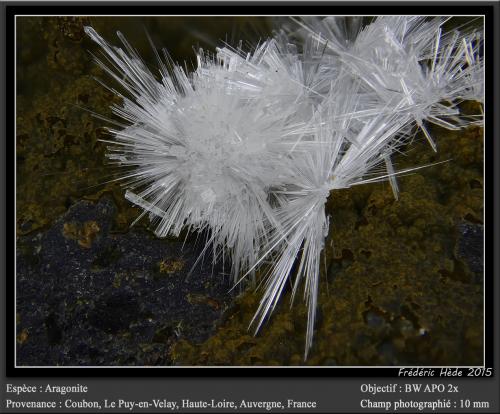 Aragonite<br />Coubon, Le Puy-en-Velay, Haute-Loire, Auvergne-Rhône-Alpes, France<br />fov 10 mm<br /> (Author: ploum)