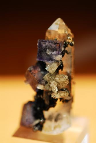 Fluorite, Fluorapatite, Quartz<br />Minas da Panasqueira, Aldeia de São Francisco de Assis, Covilhã, Castelo Branco, Cova da Beira, Centro, Portugal<br />5 cm x 1.5 cm<br /> (Author: Enrique Llorens)