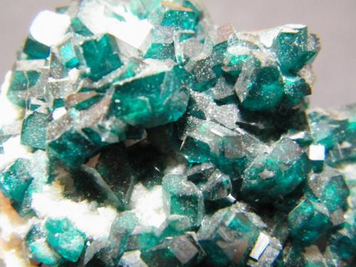 Dioptase<br />Tsumeb Mine, Tsumeb, Otjikoto Region, Namibia<br />40x50x35mm<br /> (Author: Heimo Hellwig)