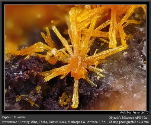 Mimetite<br />Rowley Mine, Theba, Painted Rock District, Painted Rock Mountains, Maricopa County, Arizona, USA<br />fov 2.4 mm<br /> (Author: ploum)