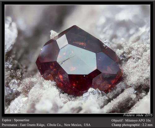 Garnet<br />Sierra East Grants, Condado Cibola, New Mexico, USA<br />fov 2.2 mm<br /> (Author: ploum)