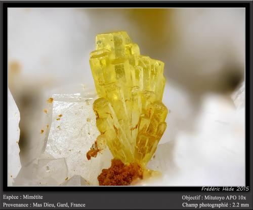 Mimetite<br />Mas Dieu, Mercoirol, Alès, Gard, Occitanie, France<br />fov 2.2 mm<br /> (Author: ploum)