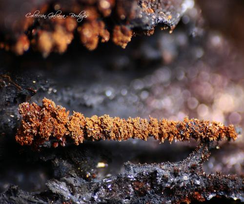 Lepidocrocita<br />Coto Minero El Conjuro, Busquístar, Comarca Alpujarra Granadina, Granada, Andalucía, España<br />Encuadre 8 x 6 mm<br /> (Autor: Rafael Galiana)