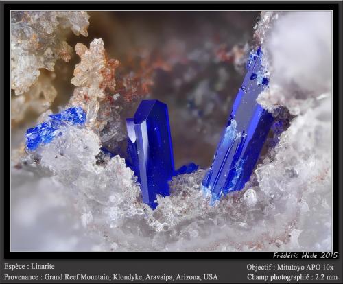 Linarite<br />Grand Reef Mine, Laurel Canyon, Grand Reef Mountain, Klondyke, Aravaipa District, Graham County, Arizona, USA<br />fov 2.2 mm<br /> (Author: ploum)