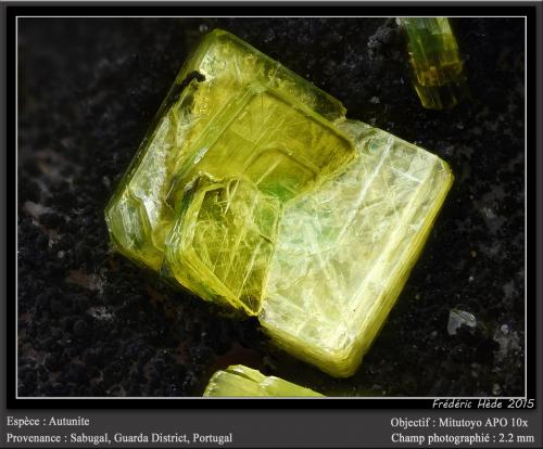 Autunite<br />Sabugal, Guarda District, Centro Region, Portugal<br />fov 2.2 mm<br /> (Author: ploum)