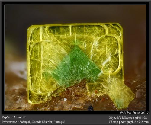 Autunite and torbernite<br />Sabugal, Guarda District, Centro Region, Portugal<br />fov 2.2 mm<br /> (Author: ploum)