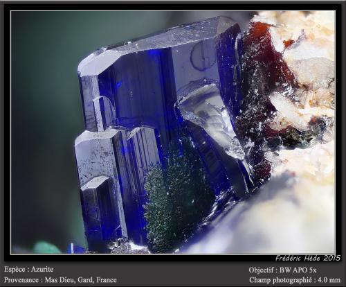 Azurite<br />Mas Dieu, Mercoirol, Alès, Gard, Occitanie, France<br />fov 4.5 mm<br /> (Author: ploum)