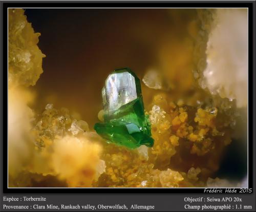 Torbernite<br />Clara Mine, Rankach Valley, Oberwolfach, Wolfach, Black Forest, Baden-Württemberg, Germany<br /><br /> (Author: ploum)