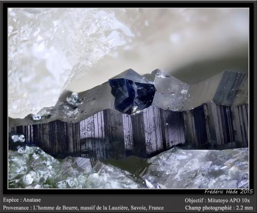 Anatase<br />L'Homme de Beurre, Macizo La Lauzière, Saint-Jean-de-Maurienne, Saboya, Auvergne-Rhône-Alpes, Francia<br />fov 2.2 mm<br /> (Author: ploum)