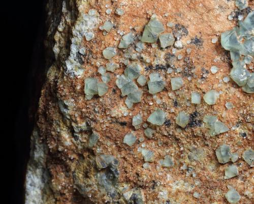 Fluorita<br />Serra de Roques Blanques, Sant Cugat del Vallès-El Papiol, Comarca Vallès Occidental / Baix Llobregat, Barcelona, Cataluña / Catalunya, España<br />13 x 11 x 4 cm<br /> (Autor: karbu8)