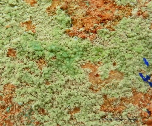 Zincolivenita<br />La Reforma Mine, El Pinar de Bédar, El Pinar, Bédar, Comarca Levante Almeriense, Almería, Andalusia, Spain<br />Encuadre 11 mm<br /> (Autor: Rafael Galiana)
