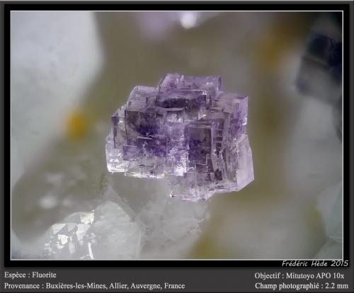 Fluorite<br />Buxières-les-Mines, Moulins, Allier, Auvergne-Rhône-Alpes, Francia<br />fov 2.2 mm<br /> (Author: ploum)