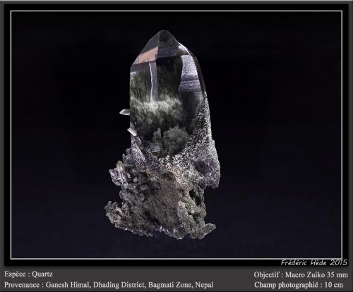 Quartz with inclusions of Chlorite<br />Ganesh Himal, Dhading District, Bagmati Pradesh, Nepal<br />fov 10 cm<br /> (Author: ploum)