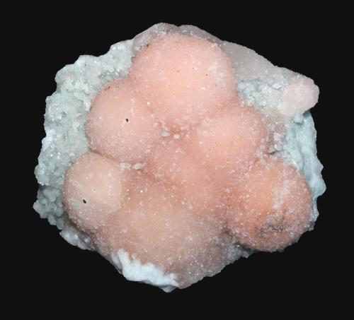Pectolite and Datolite<br />Millington Quarry, Bernards Township, Somerset County, New Jersey, USA<br />8.5 x 7.3 cm<br /> (Author: Frank Imbriacco)