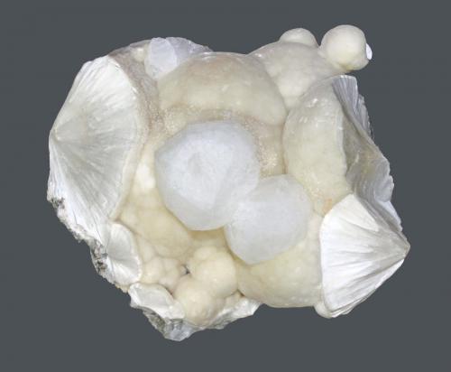 Analcime and Pectolite<br />Cantera Prospect Park, Prospect Park, Condado Passaic, New Jersey, USA<br />10.6 x 9.1 cm<br /> (Author: Frank Imbriacco)