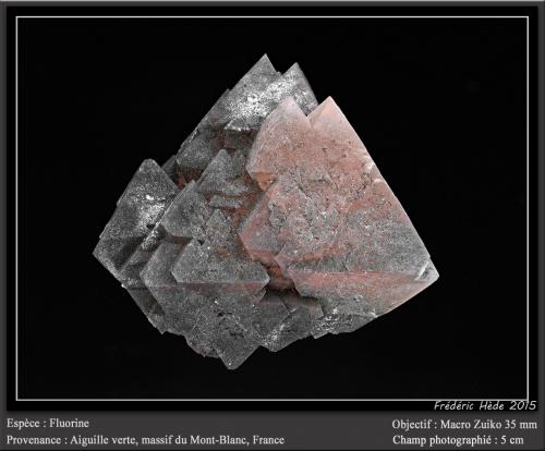 Fluorite<br />Aiguille Verte (La Charpoua side), Mont Blanc Massif, Chamonix, Haute-Savoie, Auvergne-Rhône-Alpes, France<br />fov 5 cm<br /> (Author: ploum)