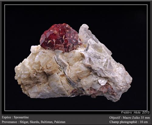 Spessartine<br />Valle Shigar, Distrito Shigar, Gilgit-Baltistan (Áreas del Norte), Paquistán<br />fov 10 cm<br /> (Author: ploum)