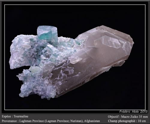 Elbaite (Tourmaline Group) on Quartz (variety smoky)<br />Provincia Laghman, Afganistán<br />fov 10 cm<br /> (Author: ploum)