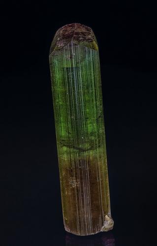 Elbaite<br />Dara-i-Pech pegmatite, Chapa Dara District, Kunar Province (Konar), Afghanistan<br />7.8 x 1.8 cm<br /> (Author: am mizunaka)